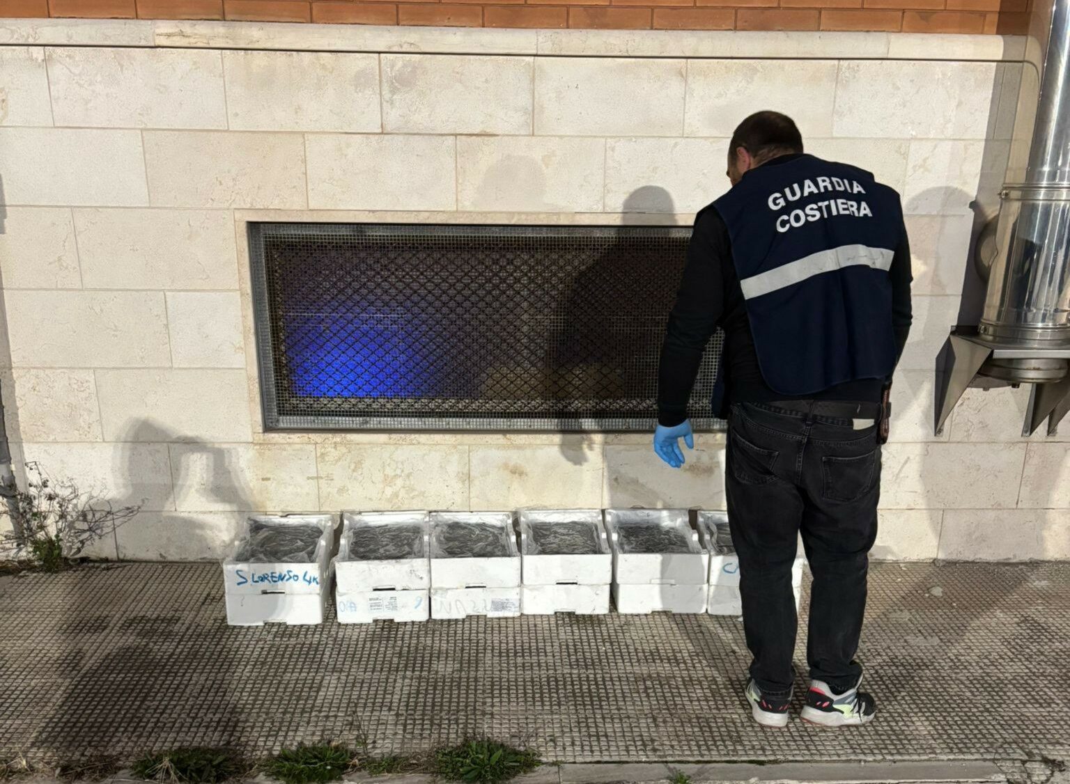 La guardia costiera sequestra 12 cassette di novellame di alici a bordo di un furgone