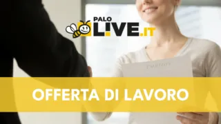 Offerta di lavoro: Autodemolizione Delzotto seleziona un addetto alle vendite online